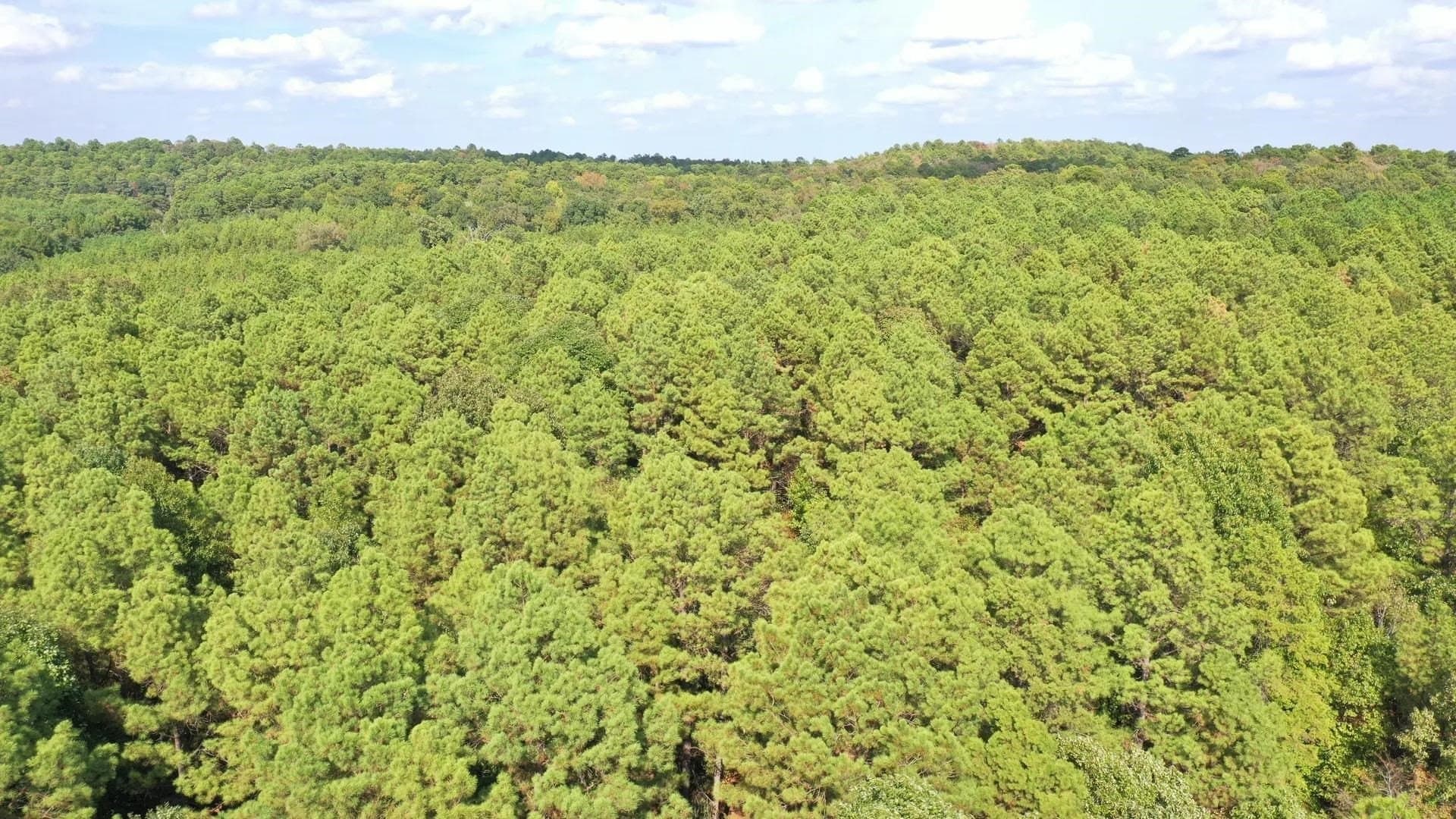 38.87 acres in Marion County - photo 6