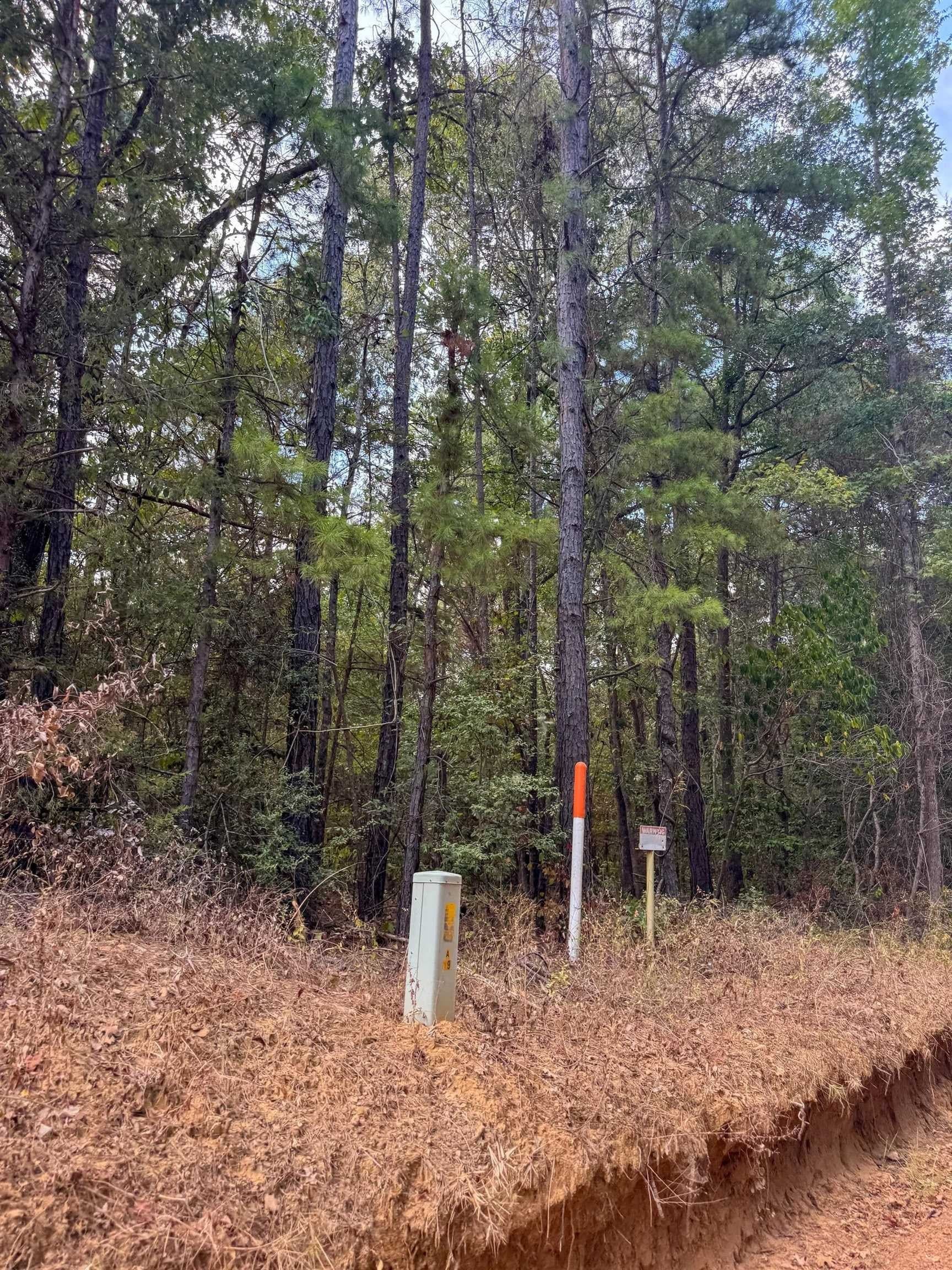 38.87 acres in Marion County - photo 28