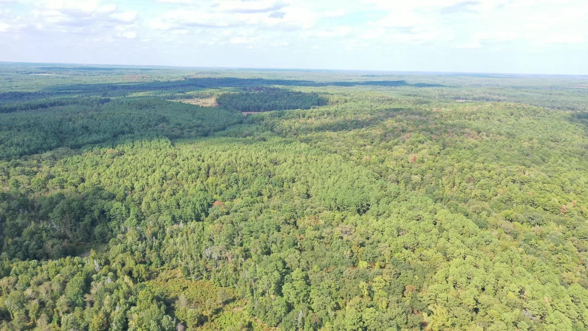 38.87 acres in Marion County - photo 3