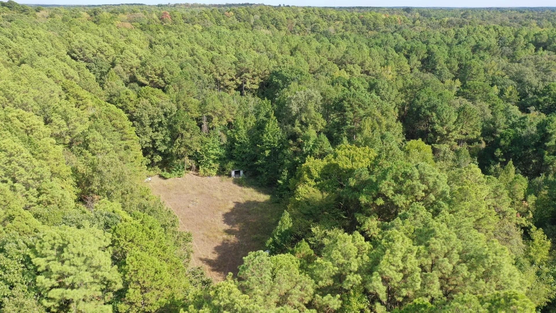 38.87 acres in Marion County - photo 5