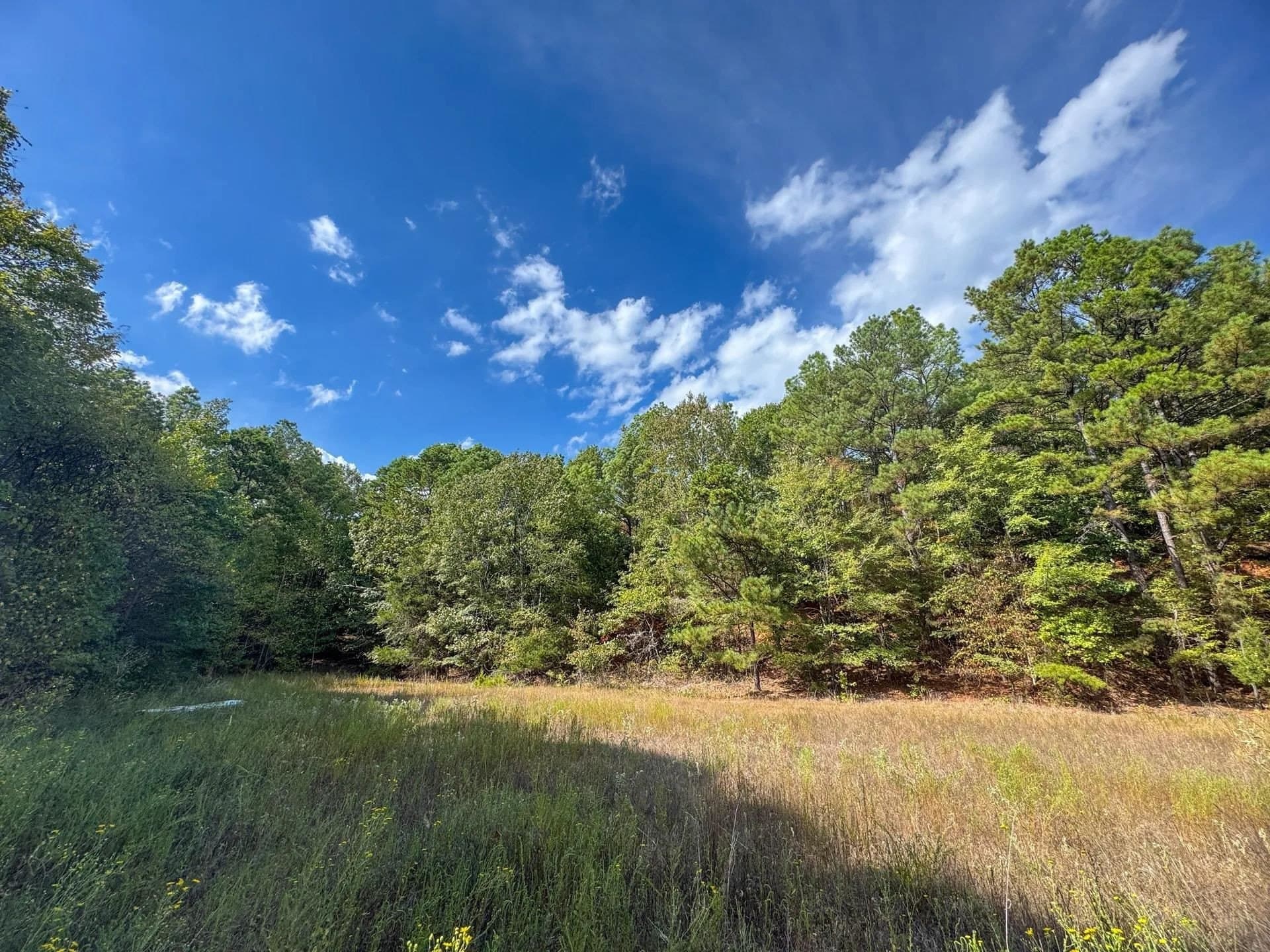 38.87 acres in Marion County - photo 12