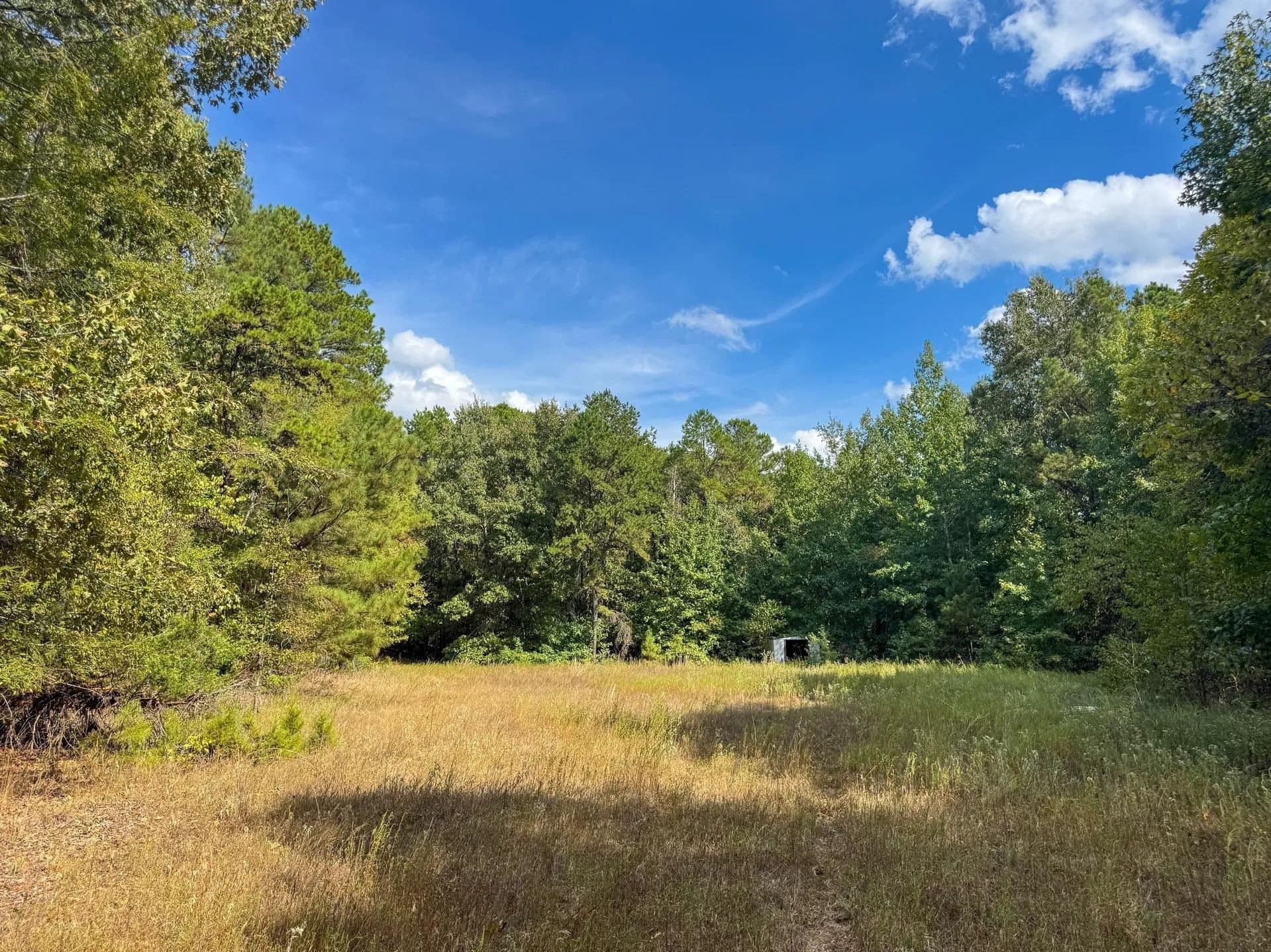 38.87 acres in Marion County - photo 14
