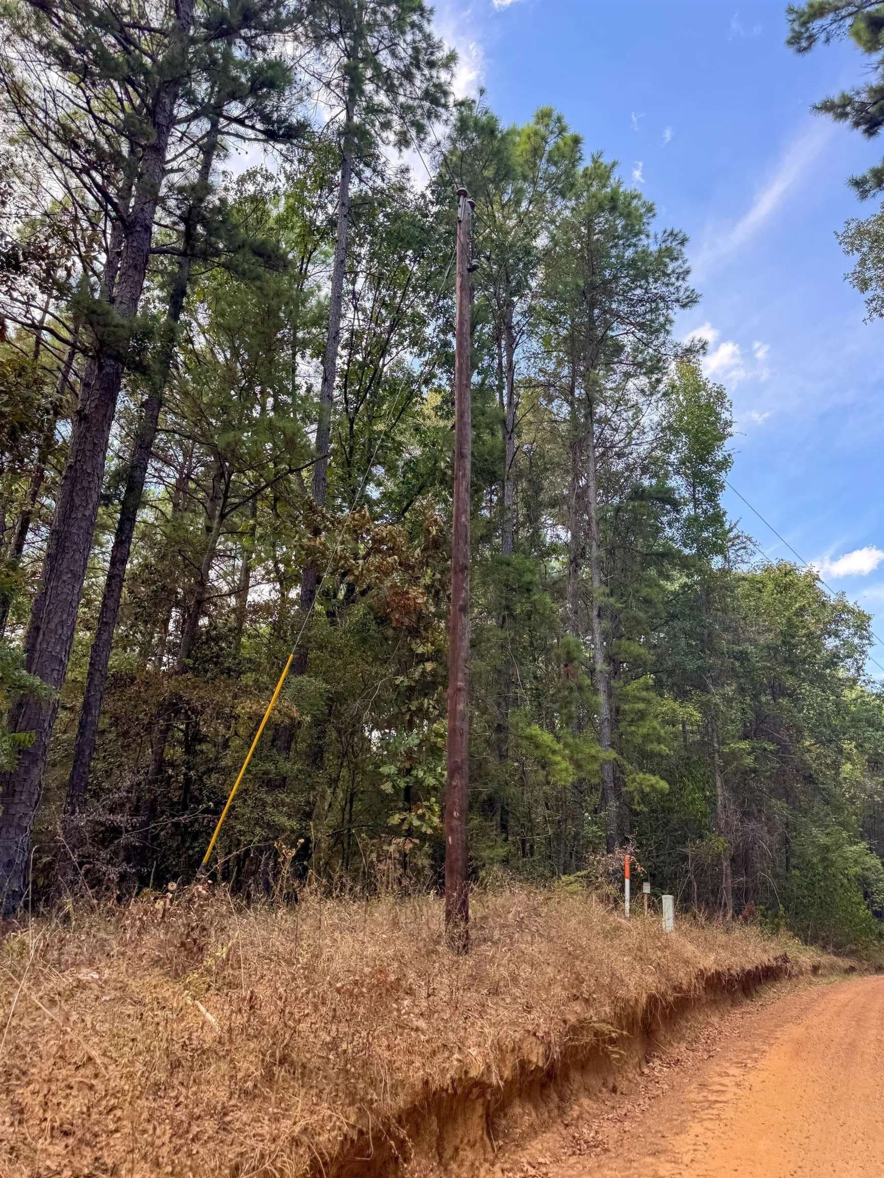 38.87 acres in Marion County - photo 27