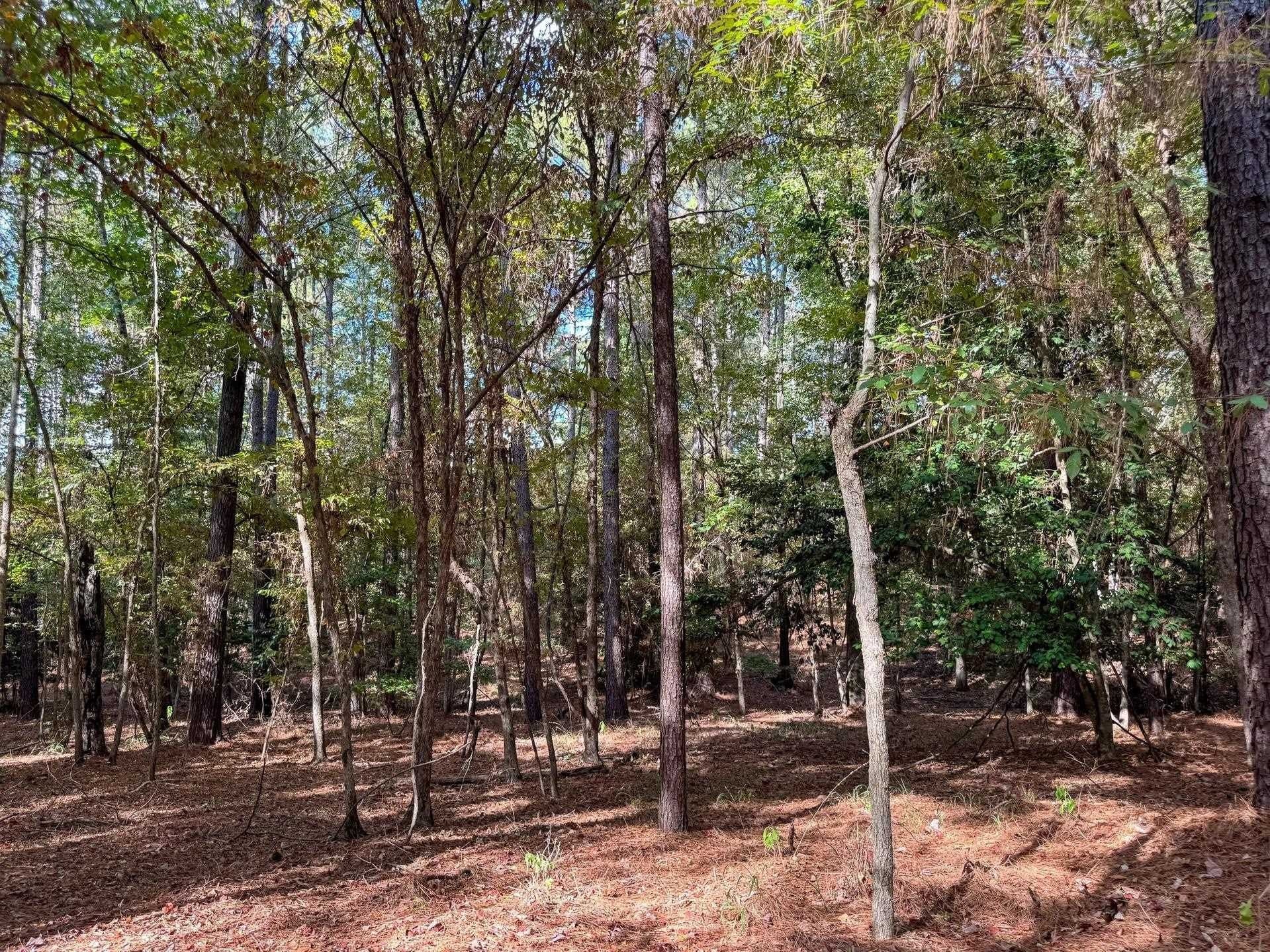 38.87 acres in Marion County - photo 26
