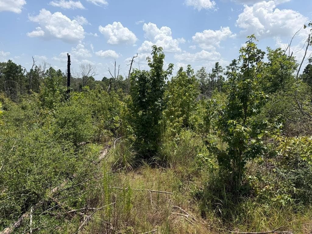 5.07 acres in Texas County