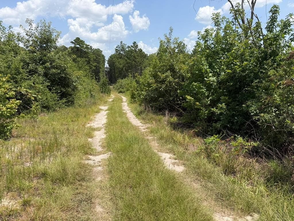 5.07 acres in Texas County - photo 5