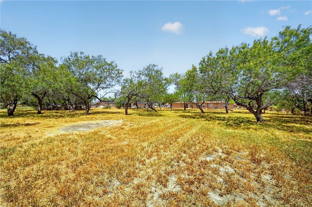 43,537 acres in Kleberg County - photo 35