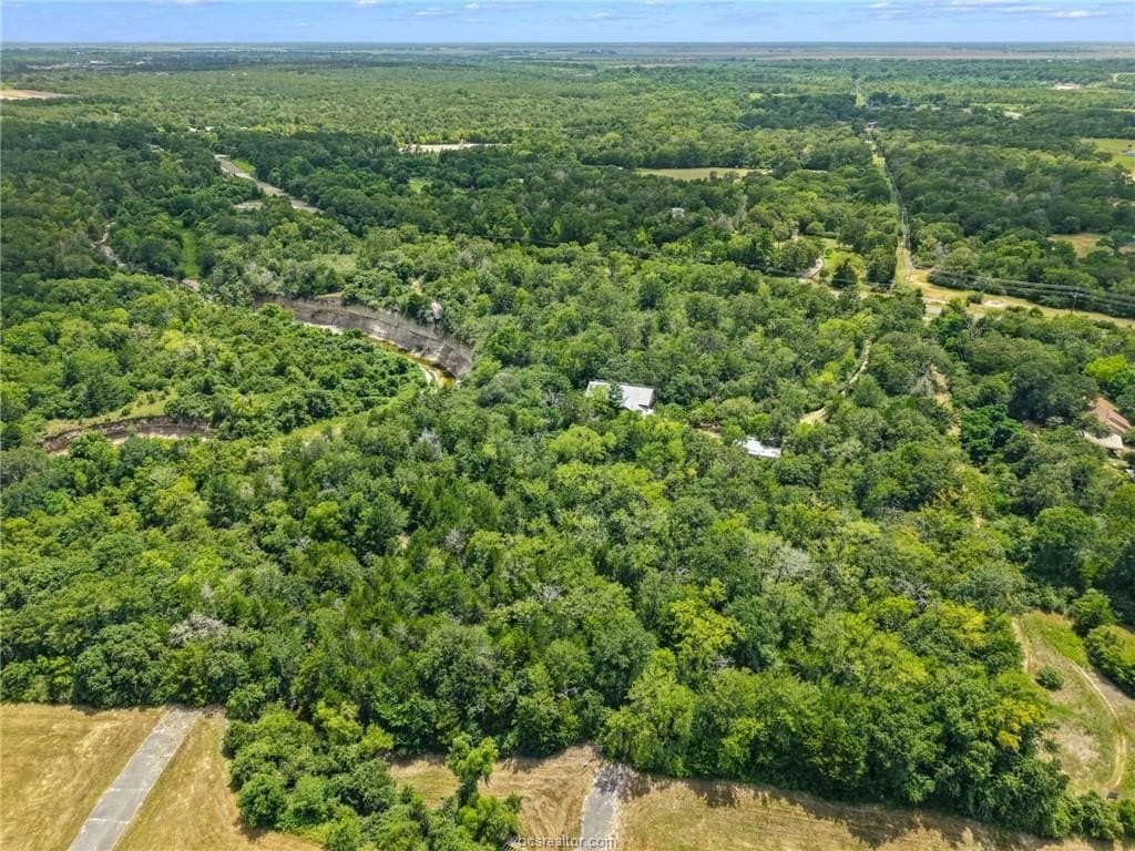 21.85 acres in Brazos County - photo 13