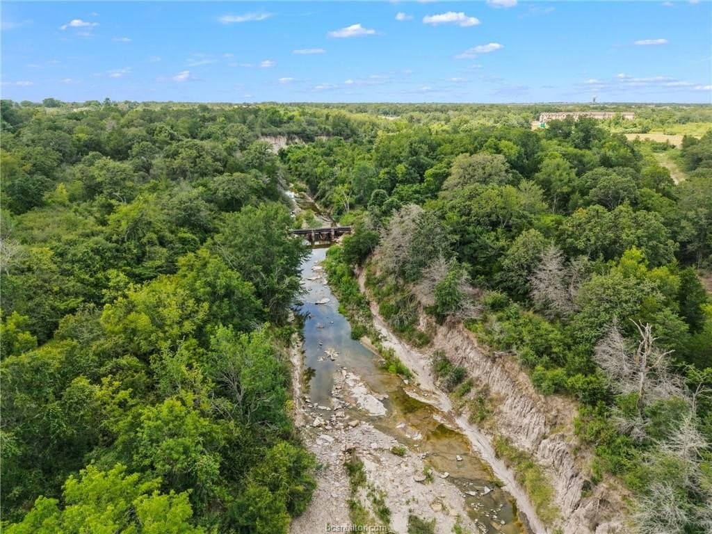 21.85 acres in Brazos County - photo 7