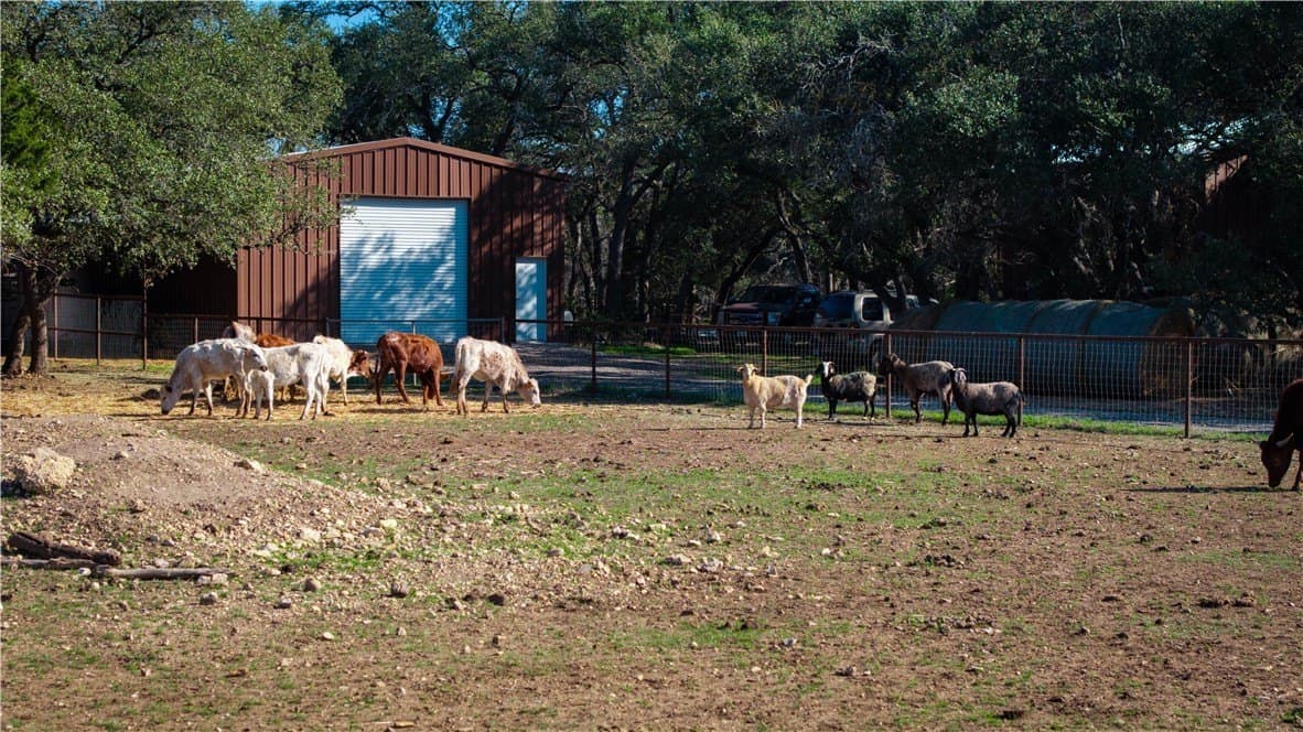 20 acres in Comal County - photo 27