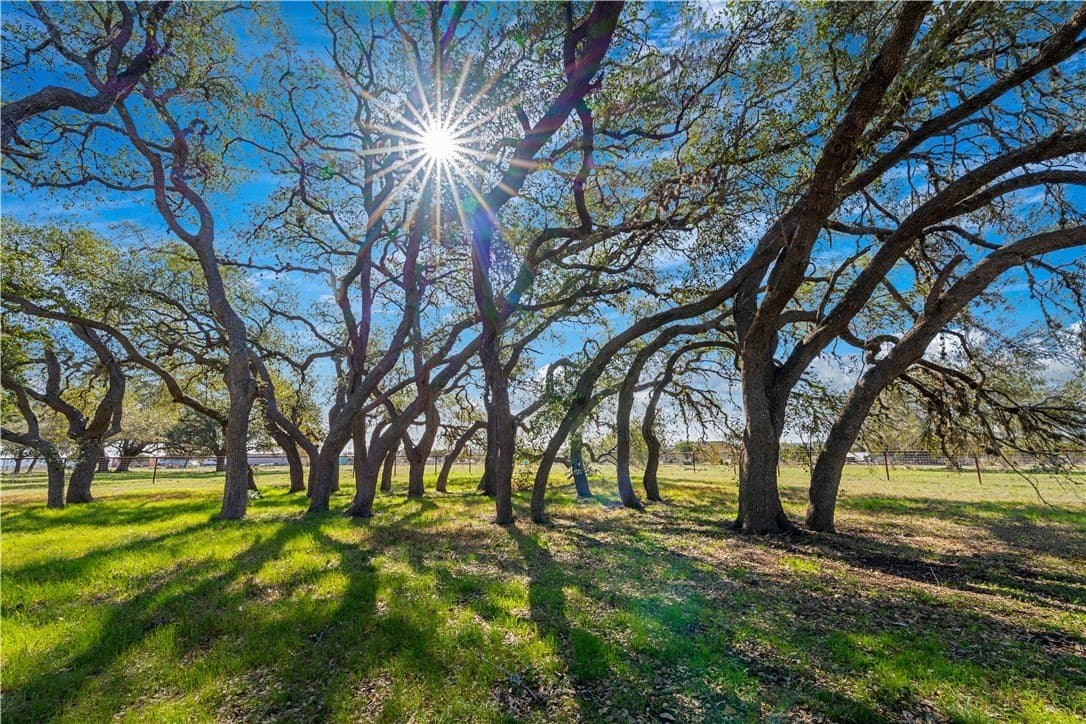 20 acres in Comal County - photo 39