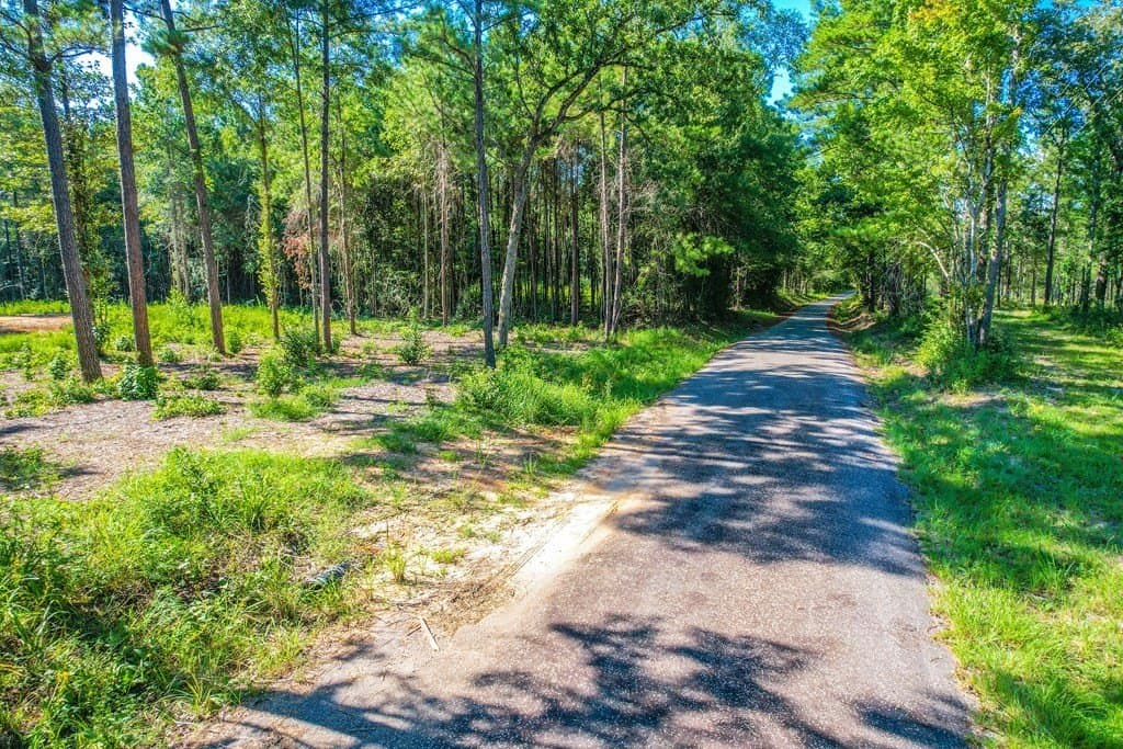 1.93 acres in Texas County - photo 6