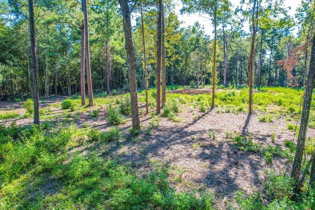 1.93 acres in Texas County - photo 7