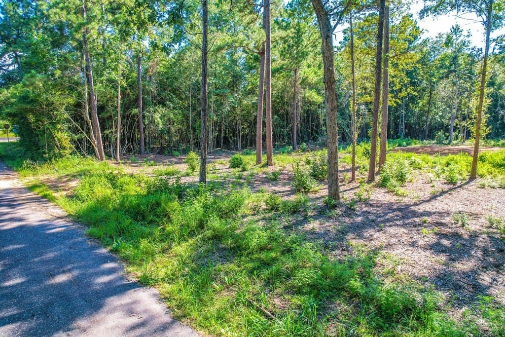 1.93 acres in Texas County - photo 8