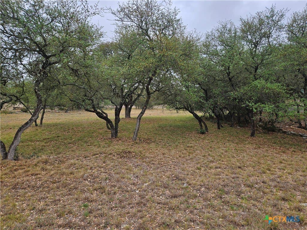 1.08 acres in Comal County gallery image 4