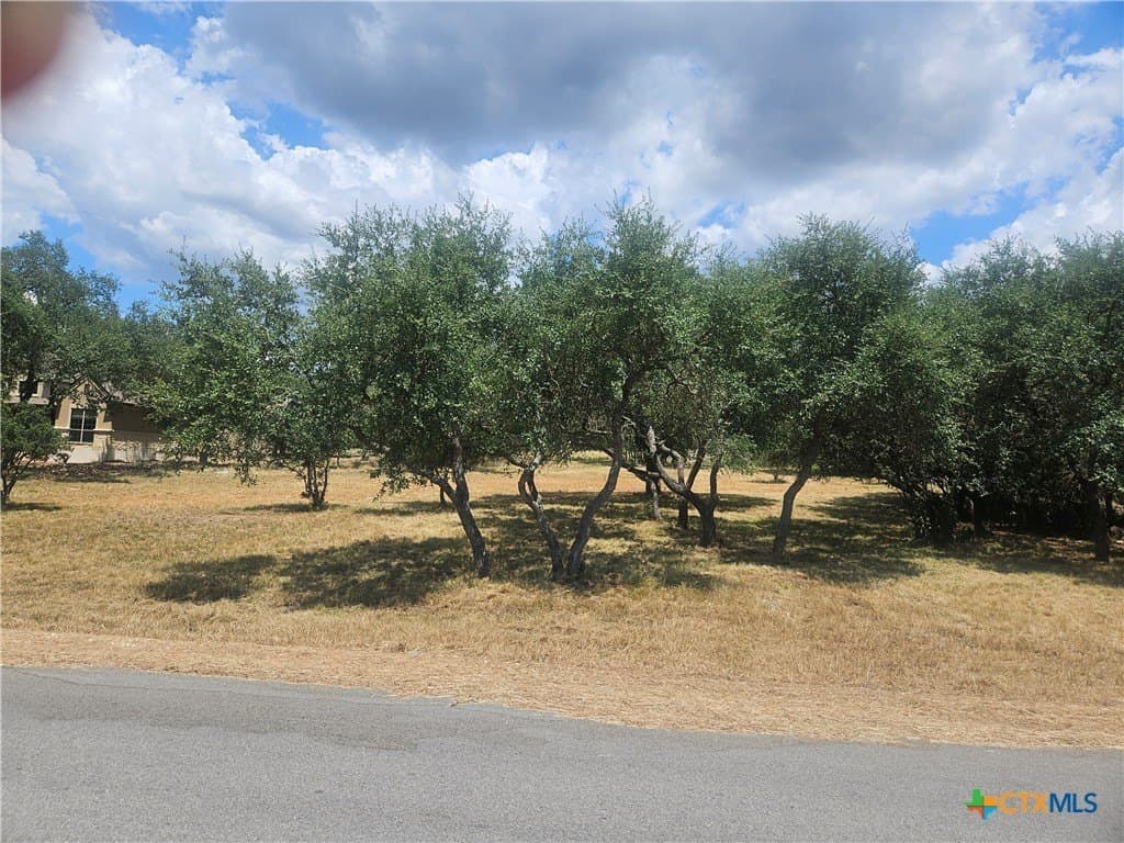 1.08 acres in Comal County gallery image 3
