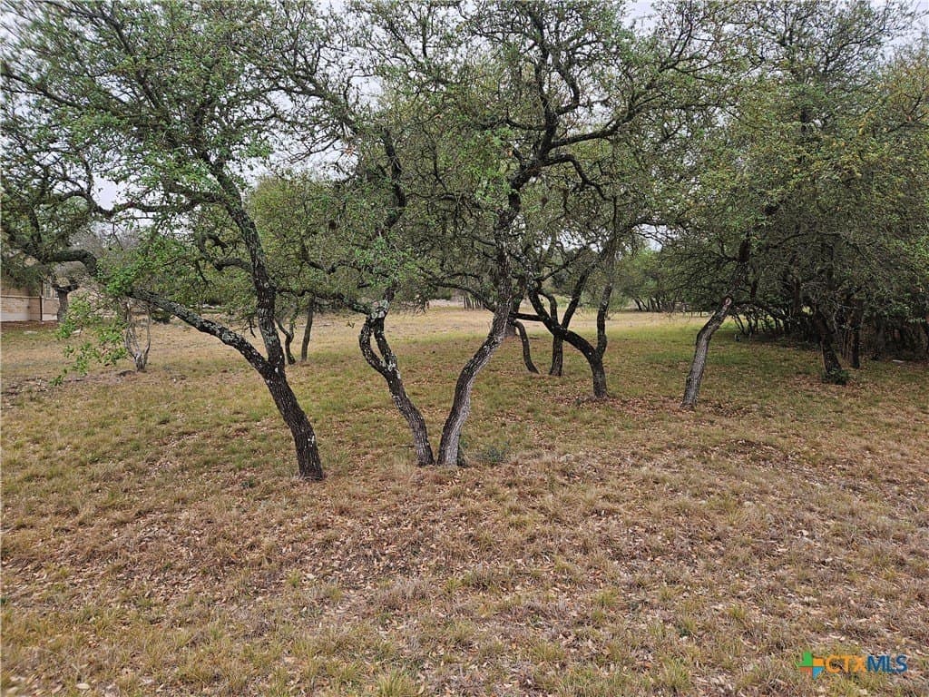 1.08 acres in Comal County featured view