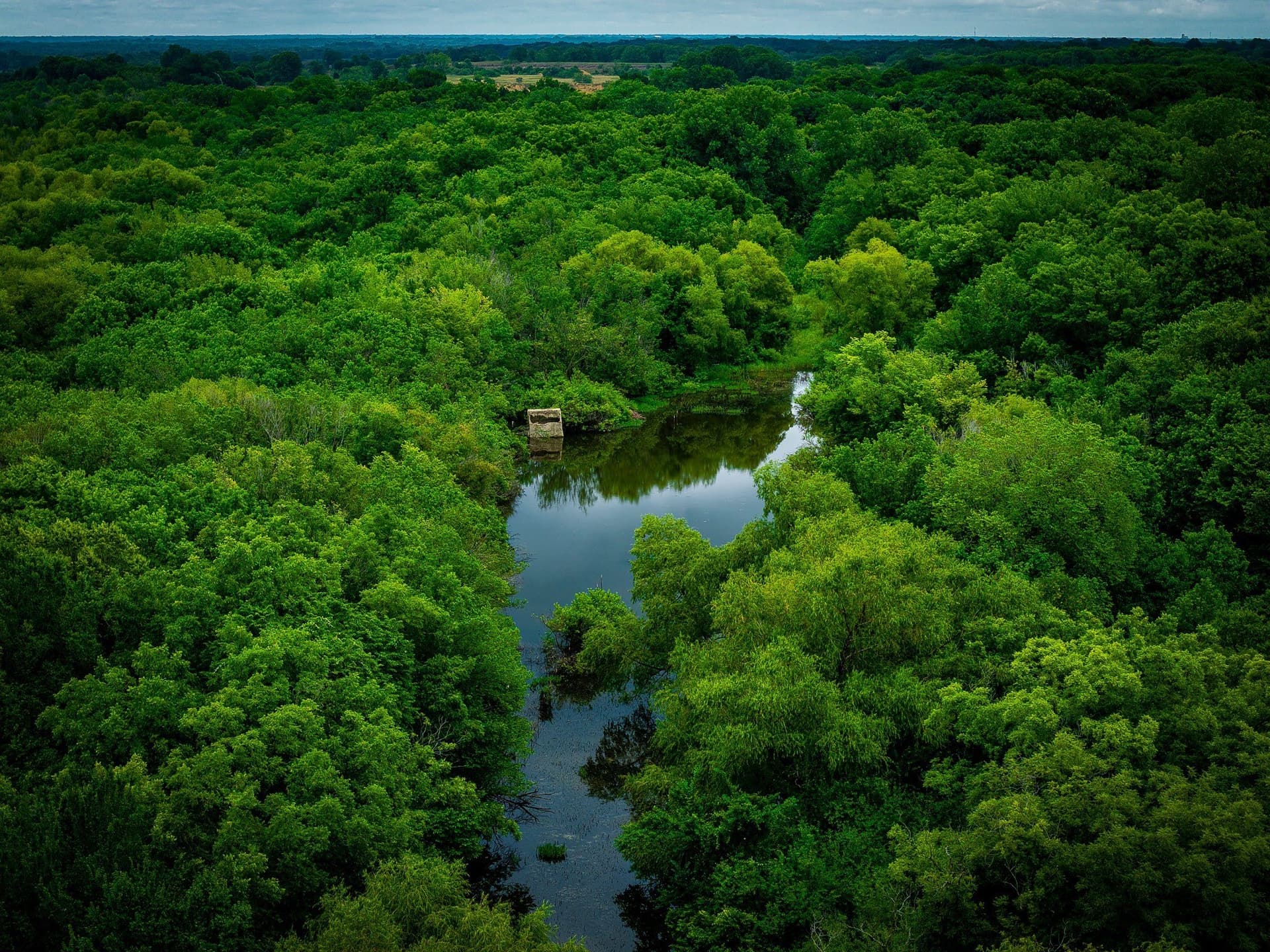 65 acres in Ellis County - photo 27