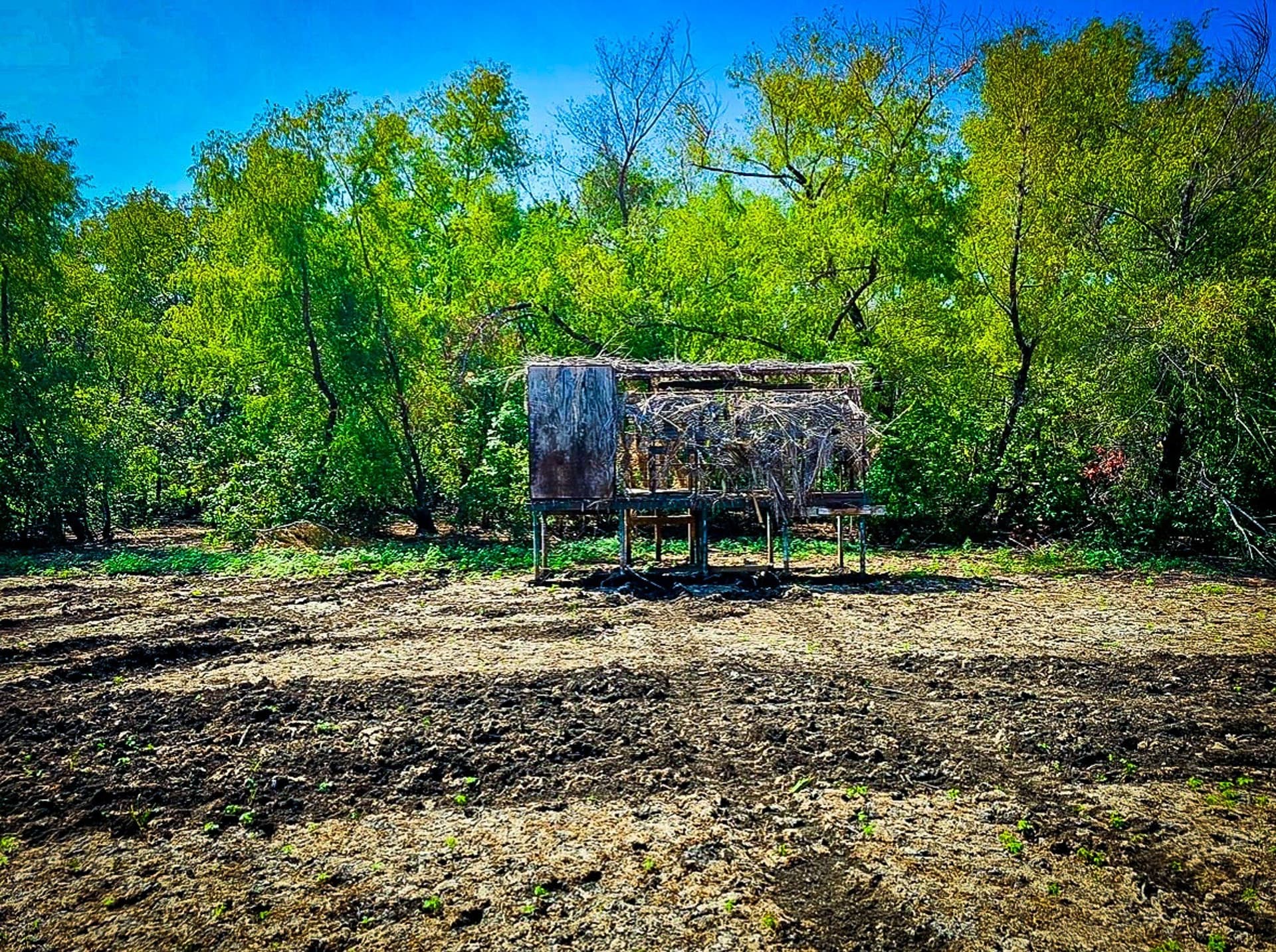 65 acres in Ellis County - photo 40