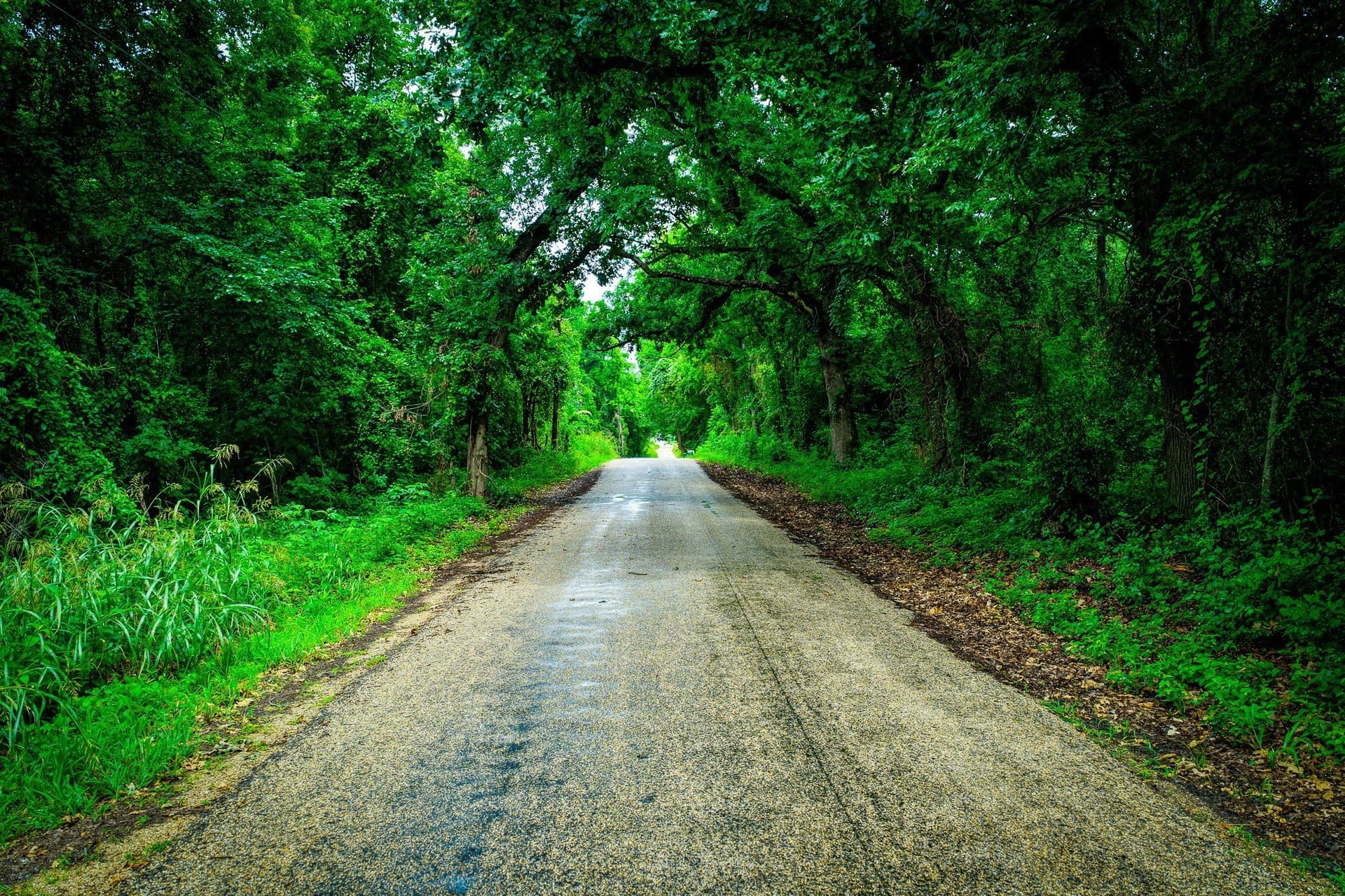 65 acres in Ellis County - photo 9