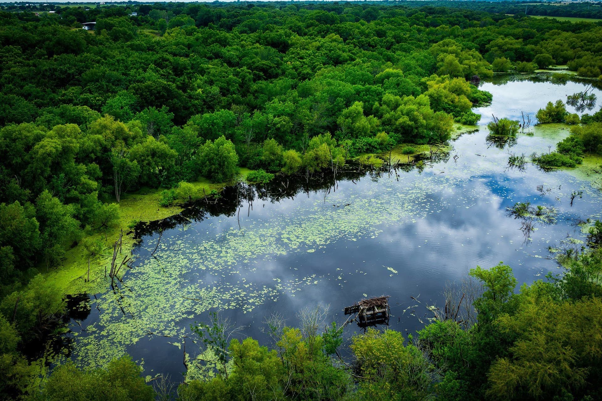 65 acres in Ellis County - photo 14