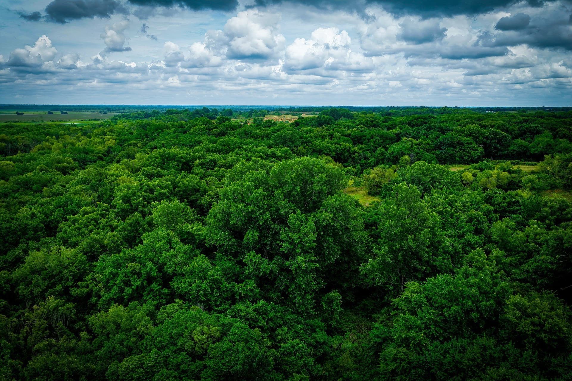 65 acres in Ellis County - photo 37