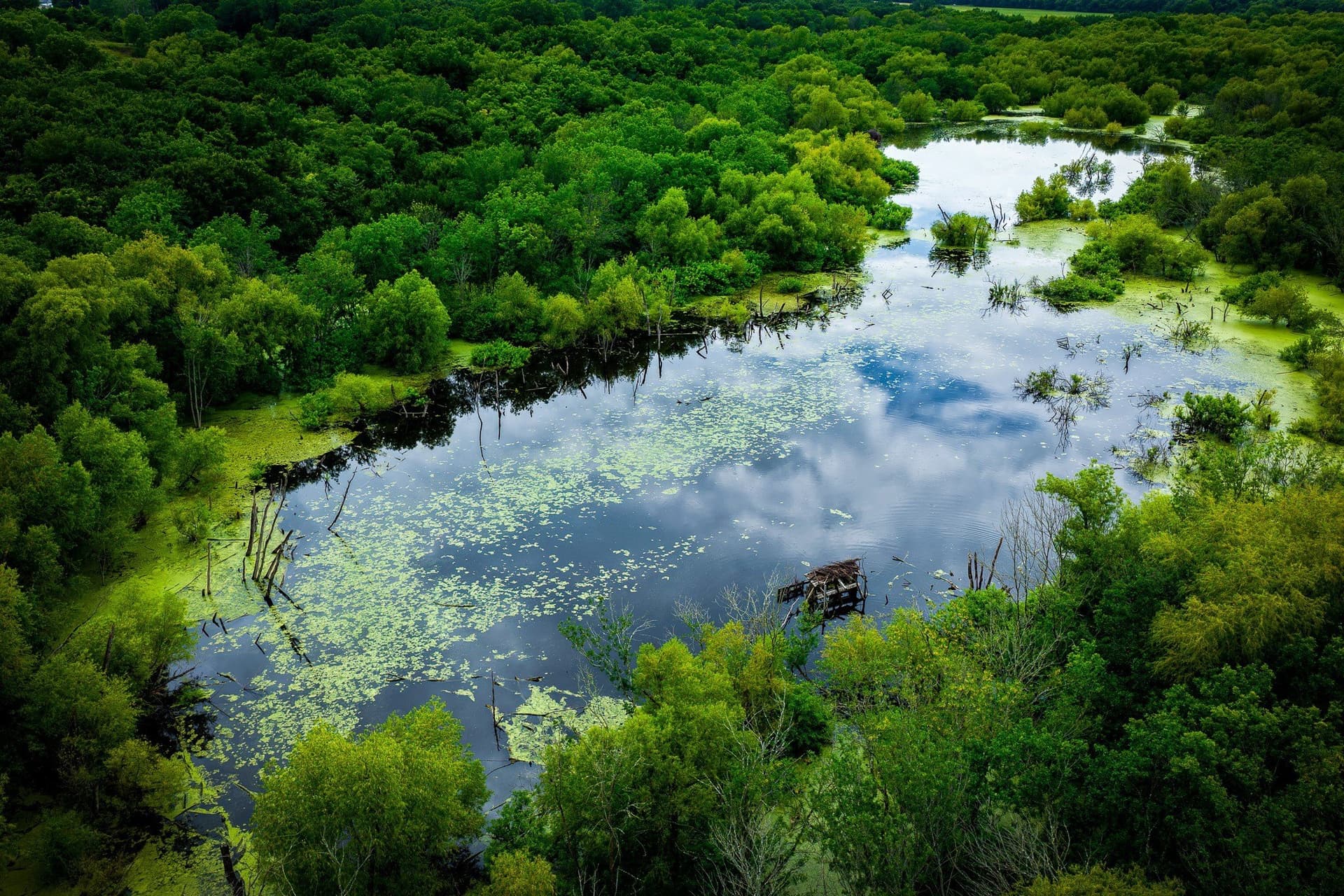 65 acres in Ellis County - photo 21