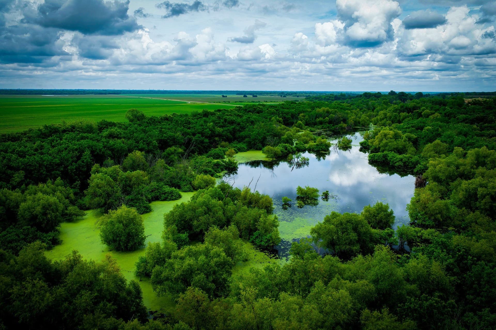 65 acres in Ellis County - photo 39