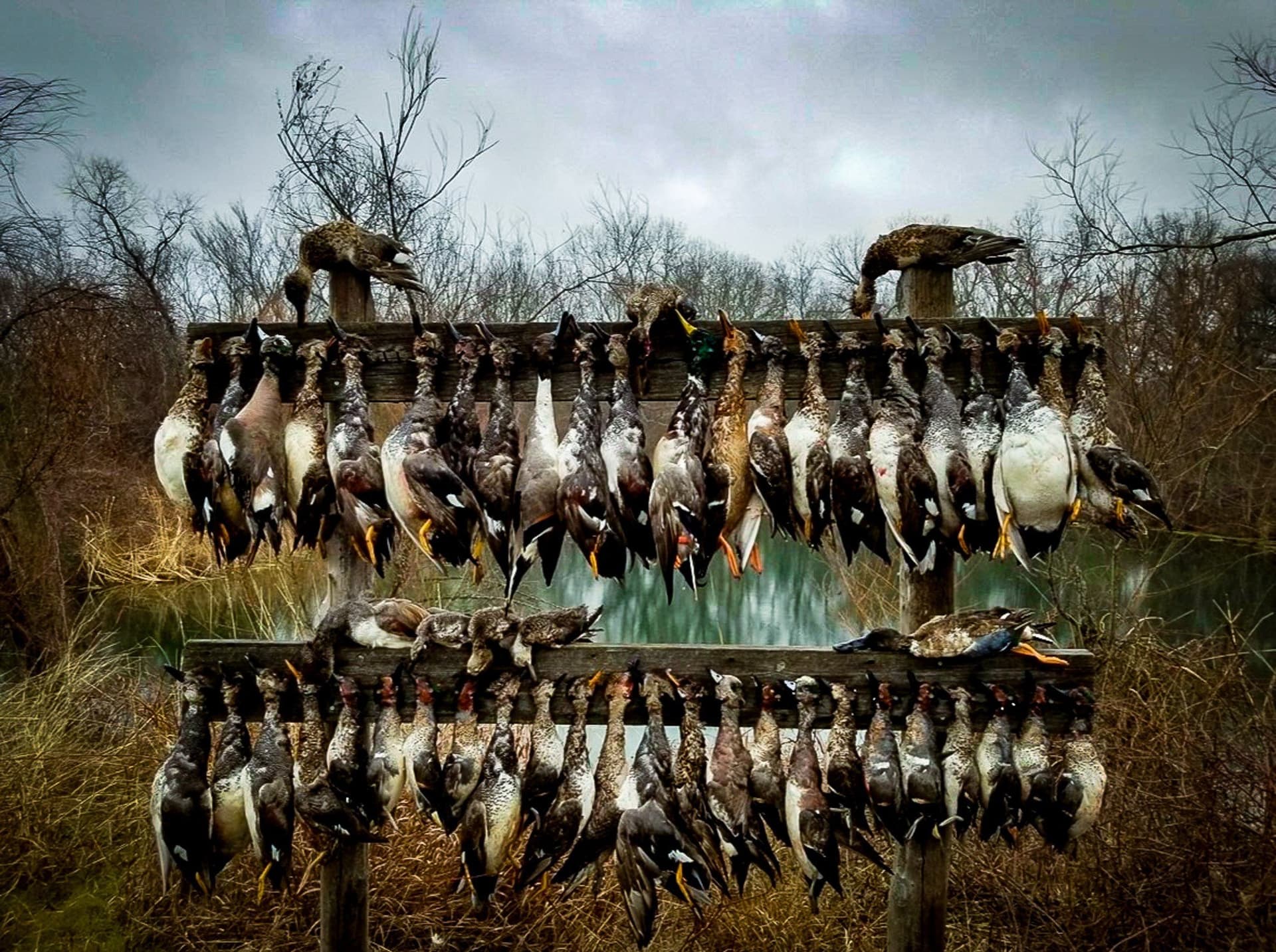 65 acres in Ellis County - photo 3