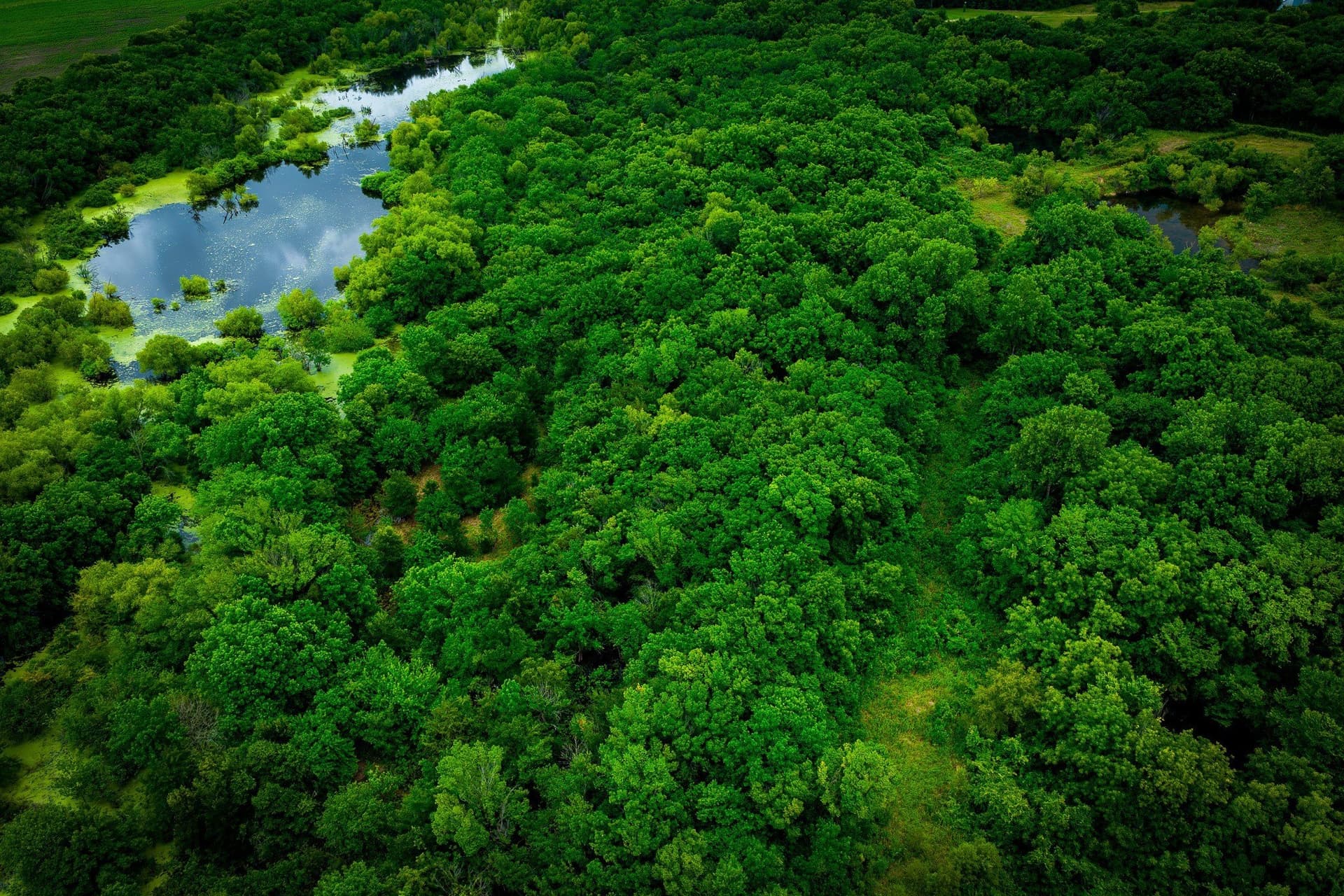 65 acres in Ellis County - photo 34