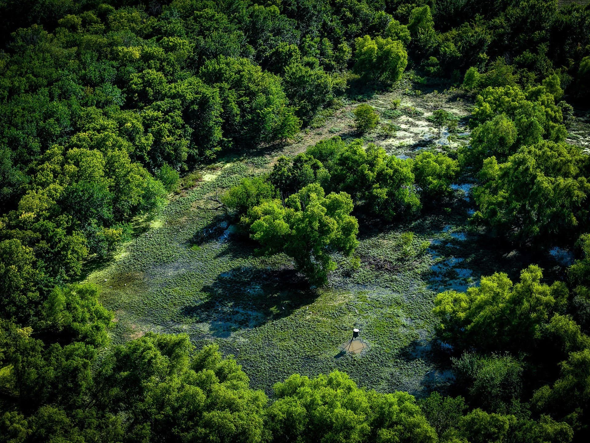 65 acres in Ellis County - photo 5