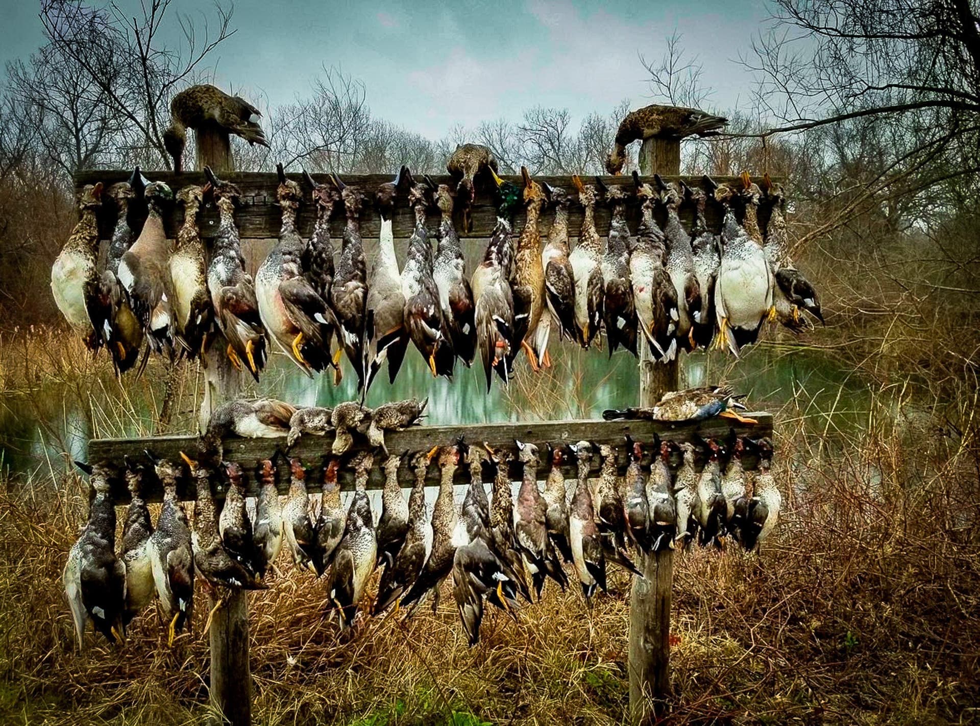 65 acres in Ellis County - photo 8