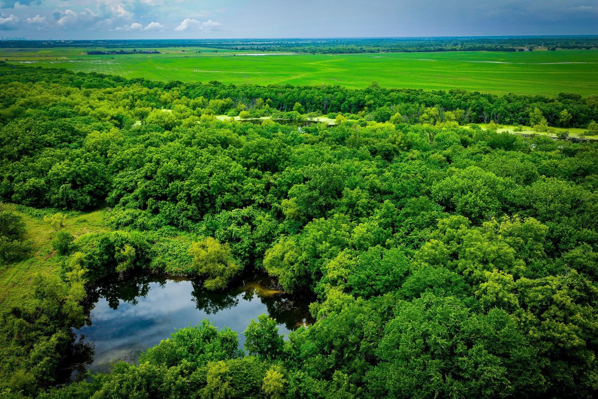 65 acres in Ellis County - photo 11