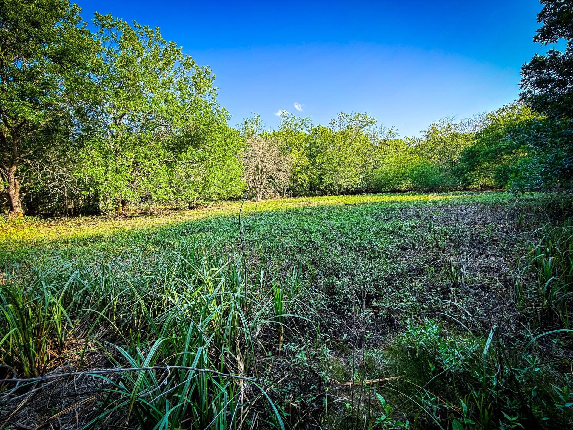 65 acres in Ellis County - photo 17