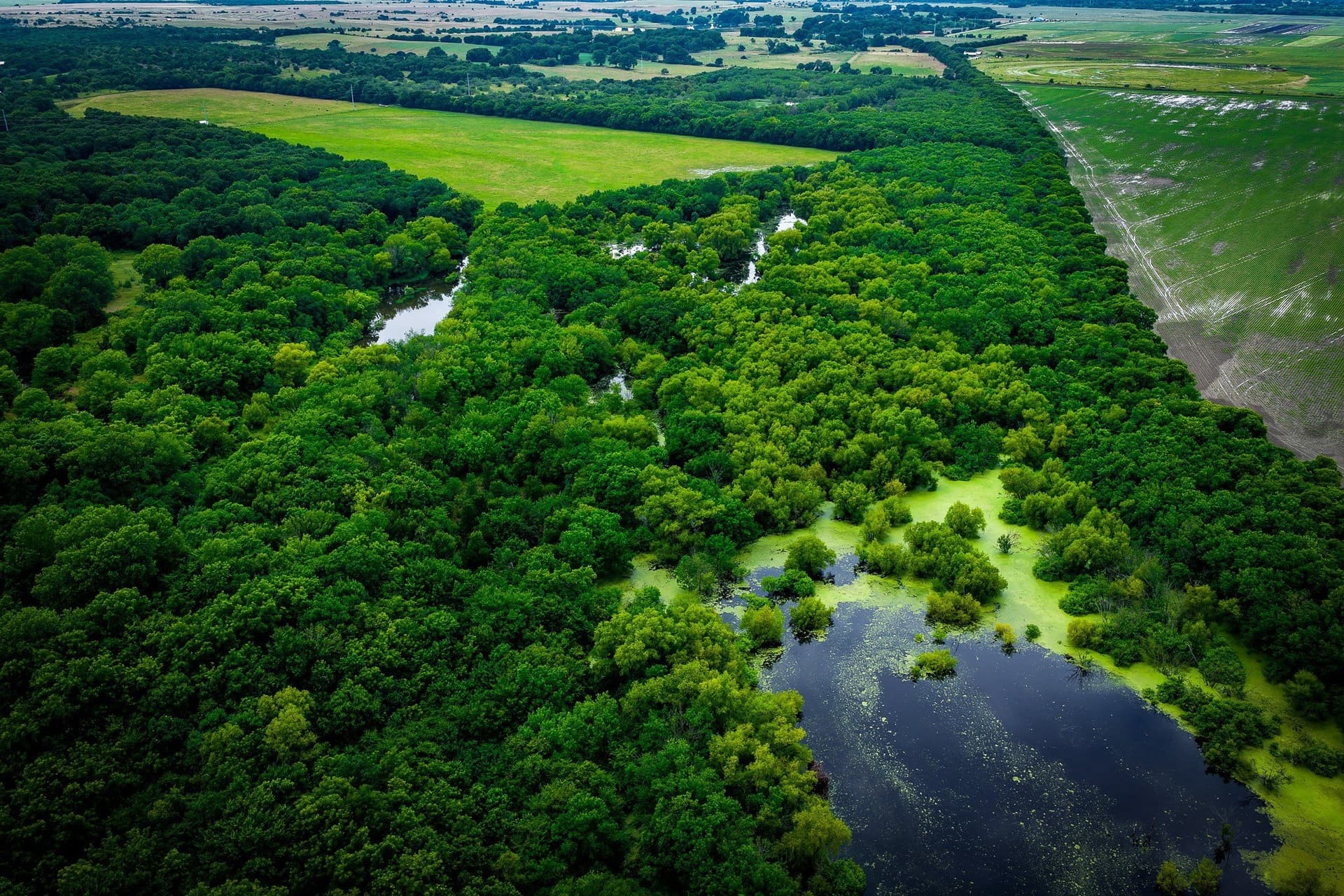 65 acres in Ellis County - photo 19