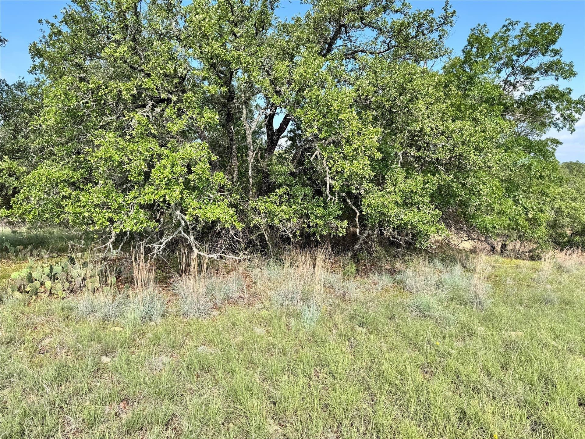 0.51 acres in Brown County - photo 10