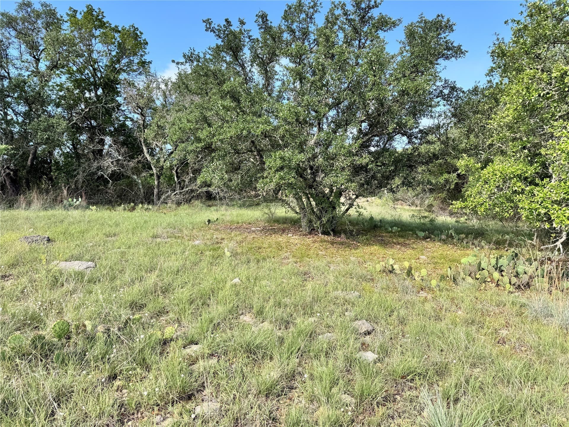 0.51 acres in Brown County - photo 9