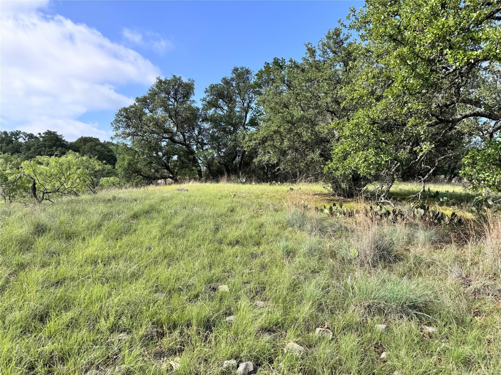 0.51 acres in Brown County - photo 8
