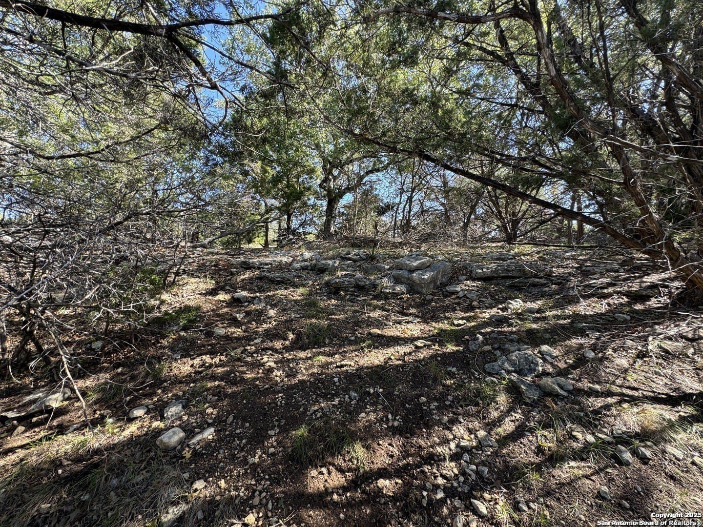 0.65 acres in Comal County - photo 5