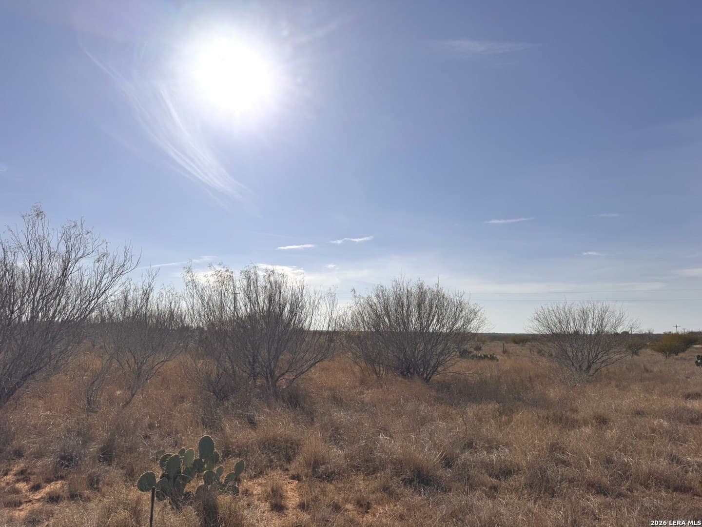 17.97 acres in Frio County - photo 7