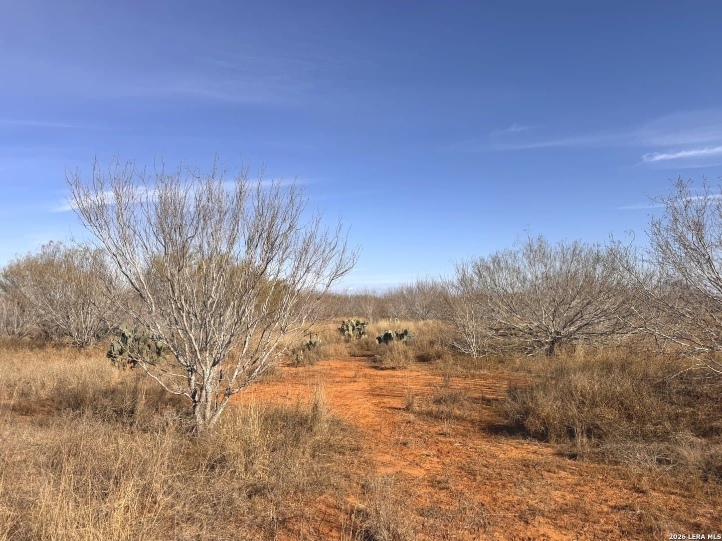17.97 acres in Frio County - photo 6