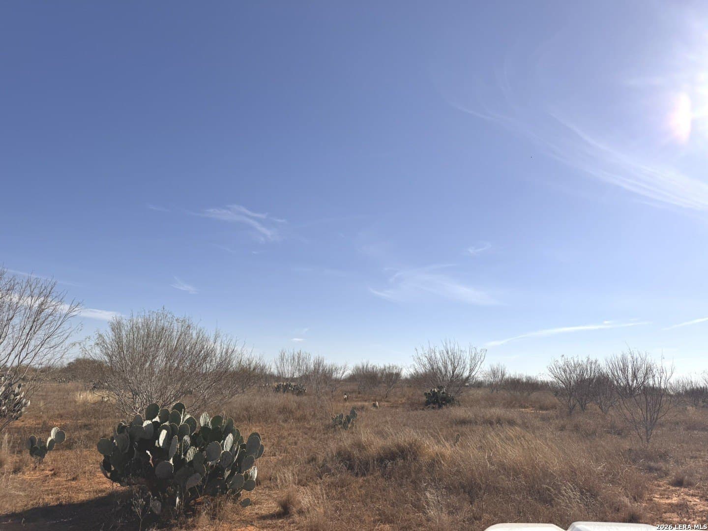 17.97 acres in Frio County - photo 13