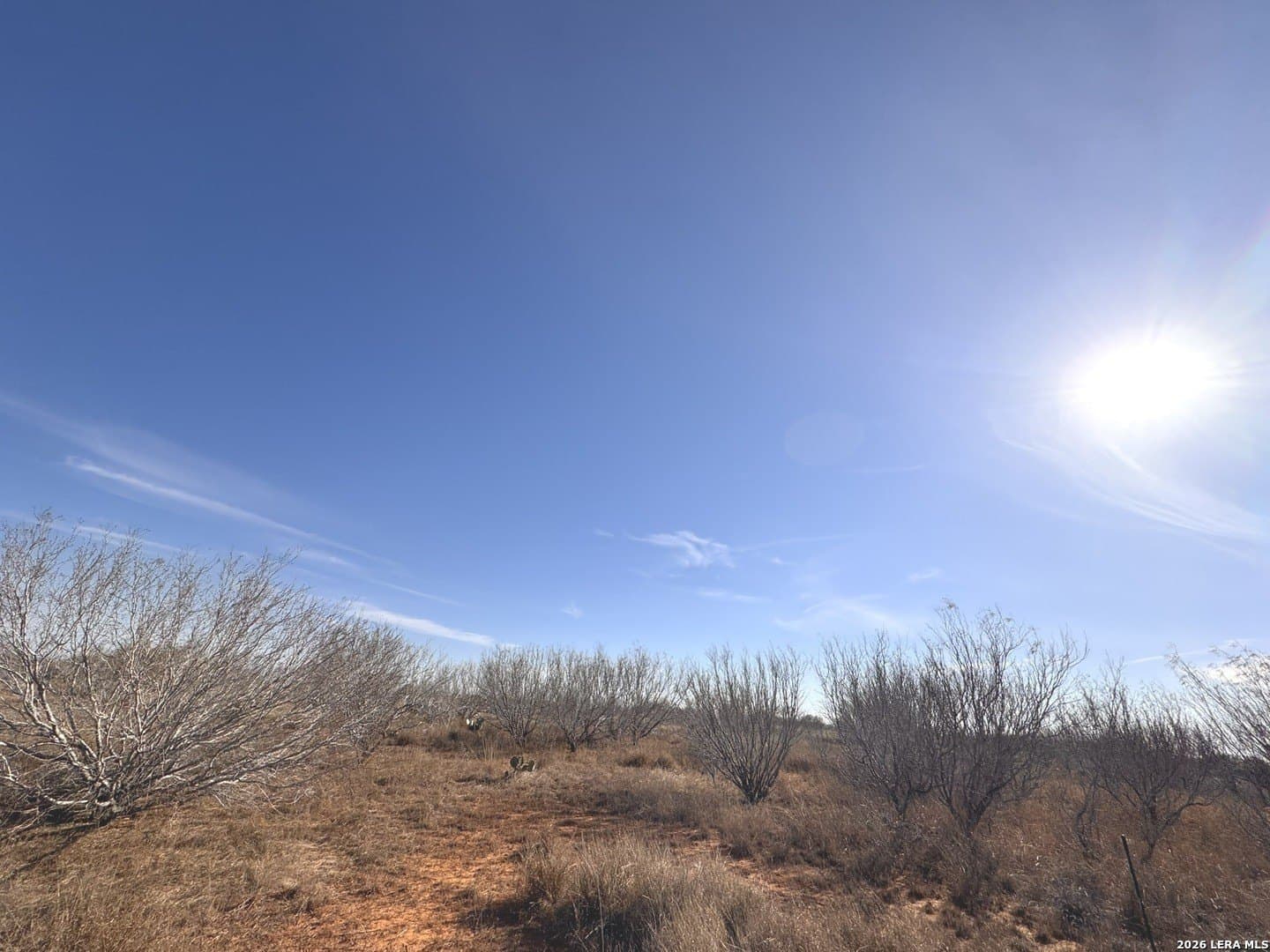 17.97 acres in Frio County featured view