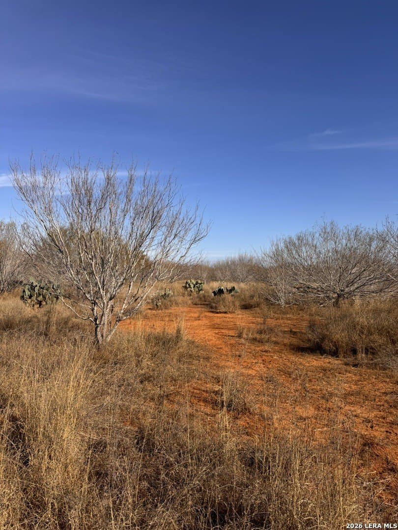17.97 acres in Frio County gallery image 2
