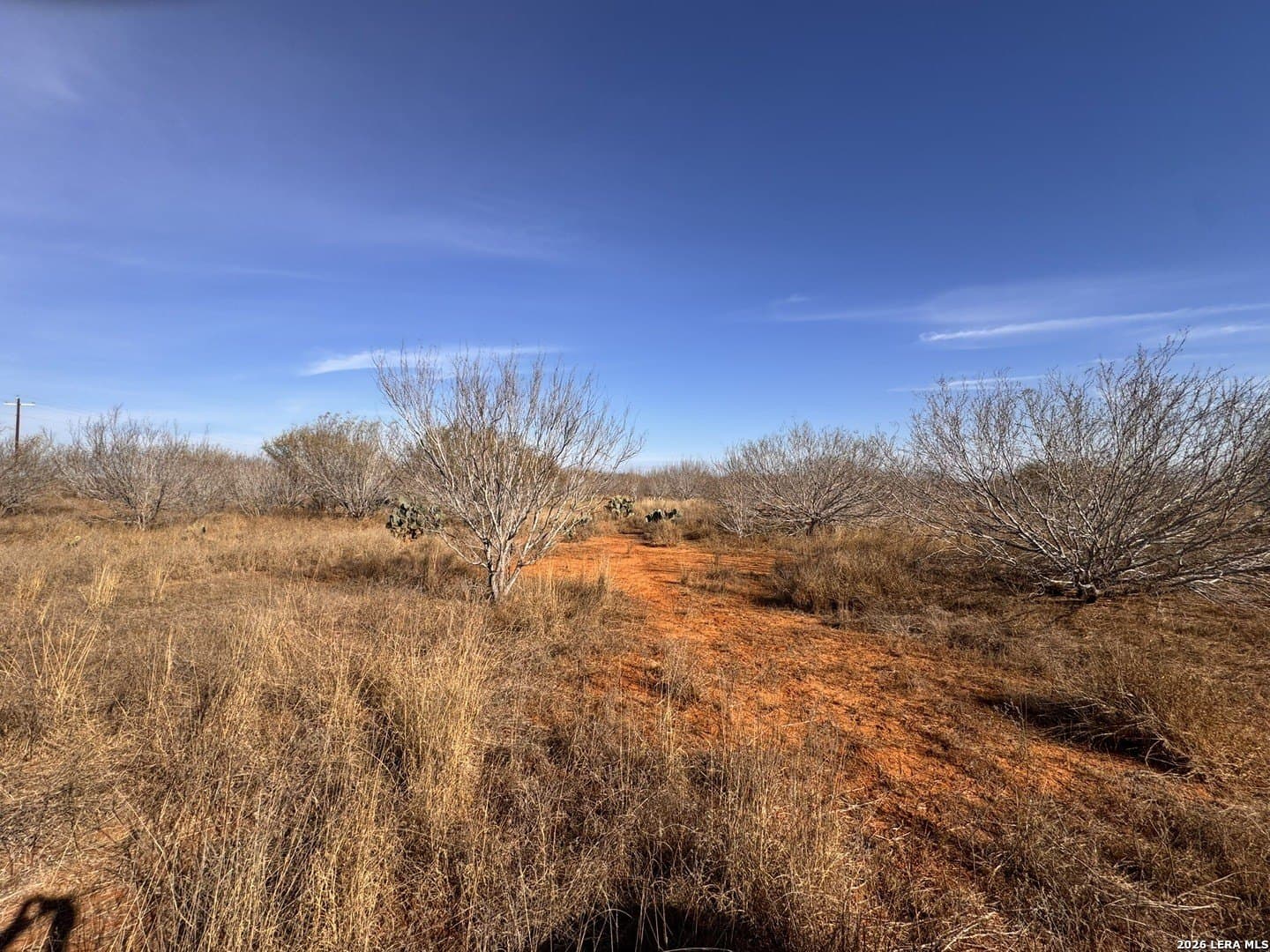 17.97 acres in Frio County gallery image 4