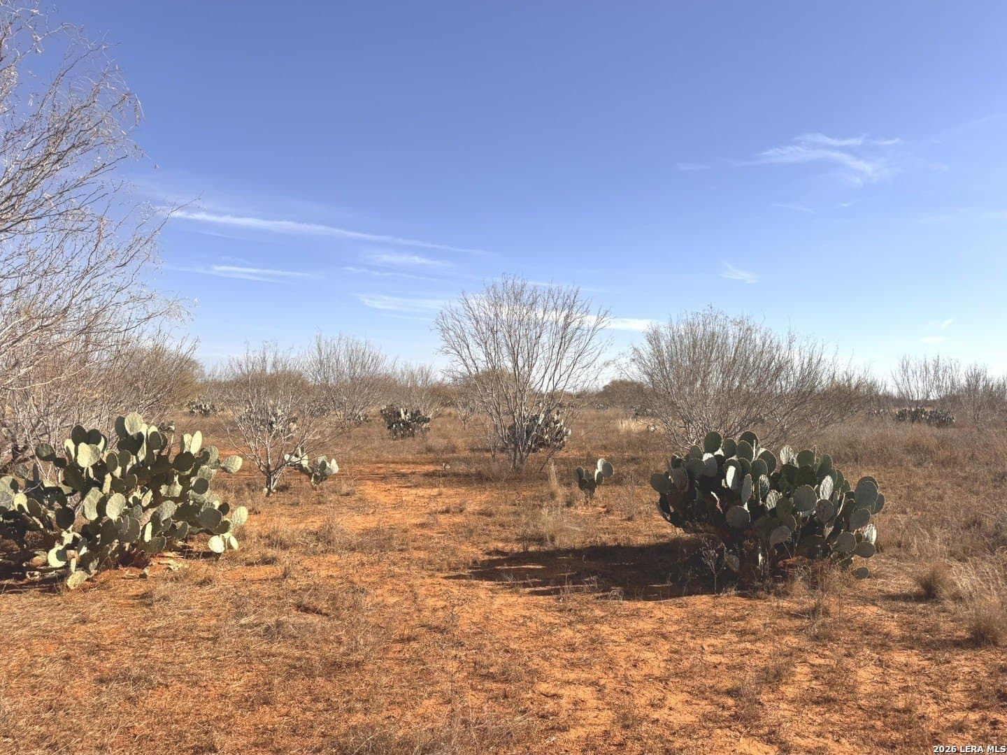 17.97 acres in Frio County - photo 12