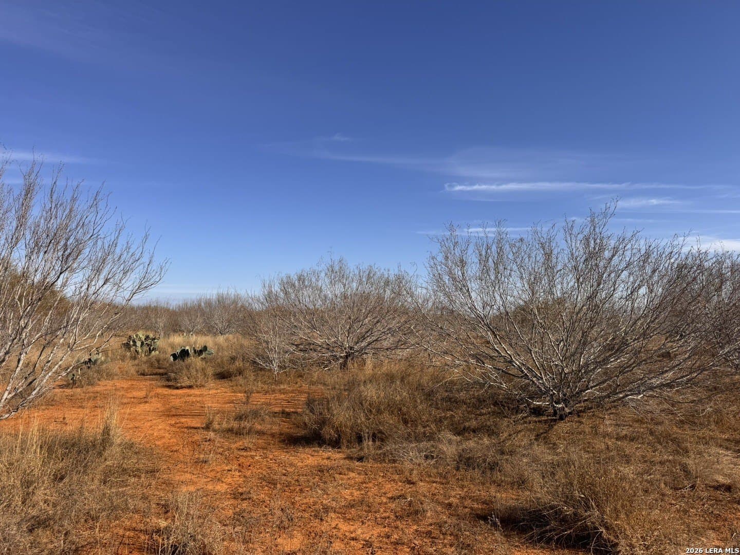 17.97 acres in Frio County gallery image 3