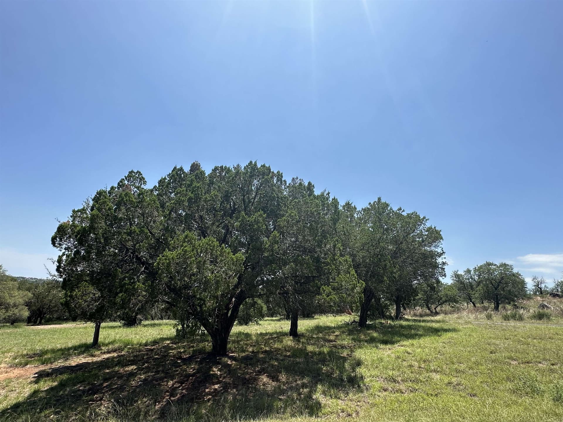 0.29 acres in Llano County - photo 11
