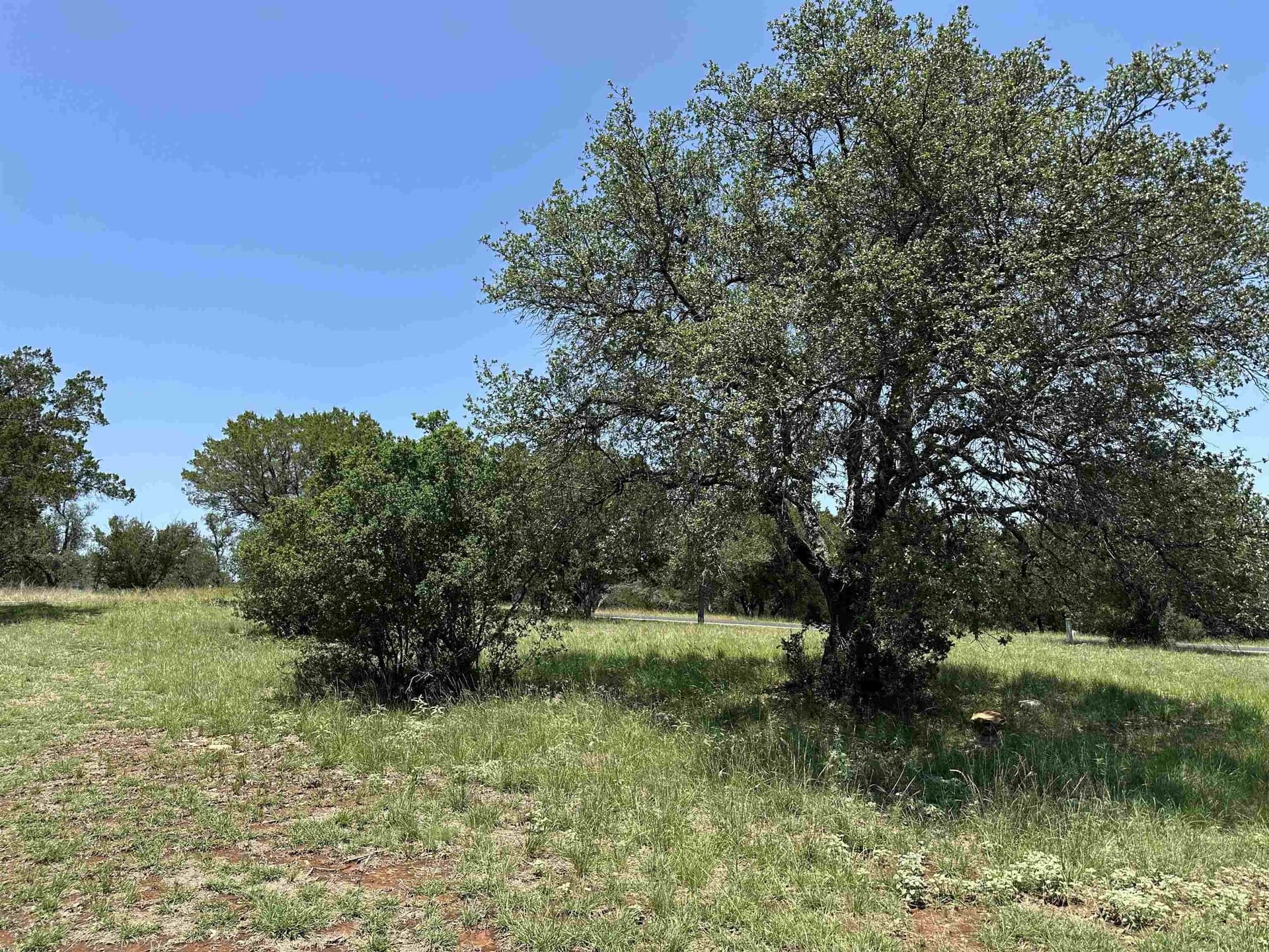 0.29 acres in Llano County - photo 9