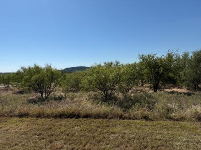 5.03 acres in Palo Pinto County gallery image 4